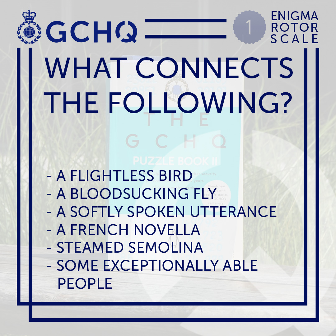 What connects the following? A flightless bird - A bloodsucking fly - A softly spoken utterance - A French novella - Steamed Semolina - Some exceptionally able people