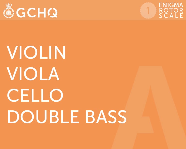 Violin, Viola, Cello, Double Bass