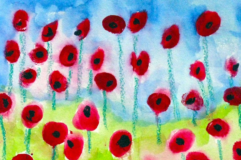 A field of red poppies with a blue sky over