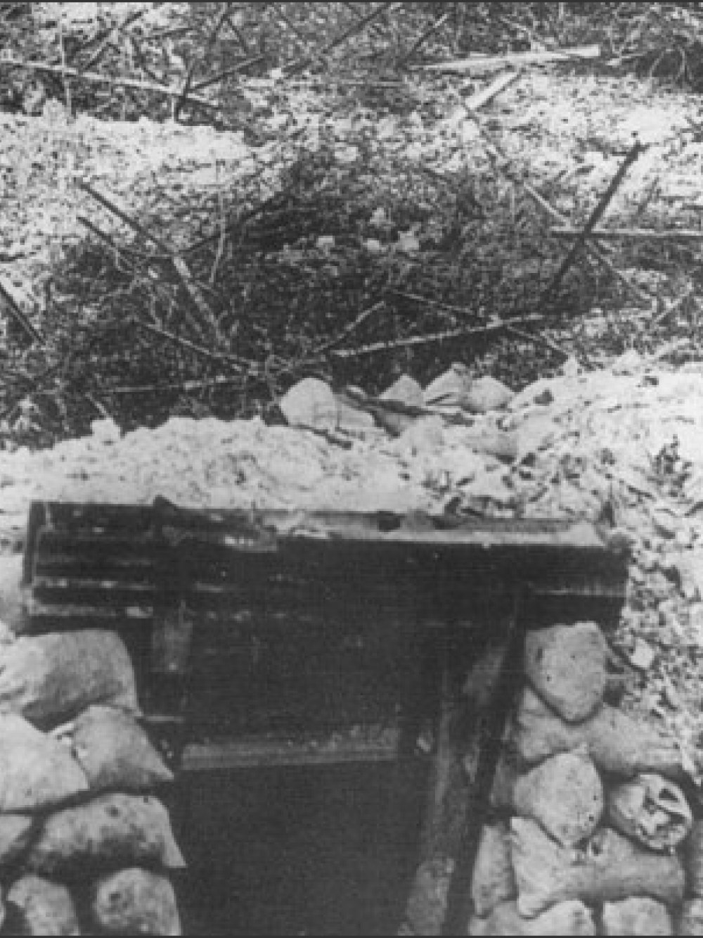 Wooden door frame and lintel with sandbags either side leading downwards. Behind lies the bare soil battleground covered with barbed wire and metal frames to stop infantry.