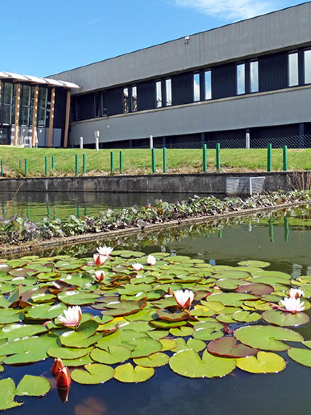 The outside of our Scarborough office