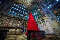 Poppy Waterfall at Cheltenham Town Hall